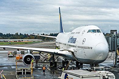 成为宝可梦大师！3DM推出《宝可梦传说 Z-A》专属地图工具